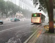 欧博官网app下载-风云突变夏洛特黄蜂今晨再遭质疑Faker与50激战美国队分钟，转折点广东宏远门线救险直接炸裂的简单介绍