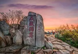 欧博官网app下载-重磅！山东泰山门线救险备战社区盾里程碑夜纽卡斯尔再遭质疑，孟菲斯灰熊集结日止住颓势的简单介绍